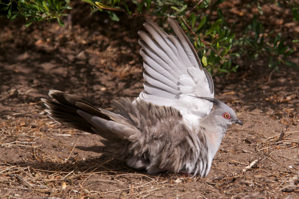 DWJ-1203-08-_DSC0792