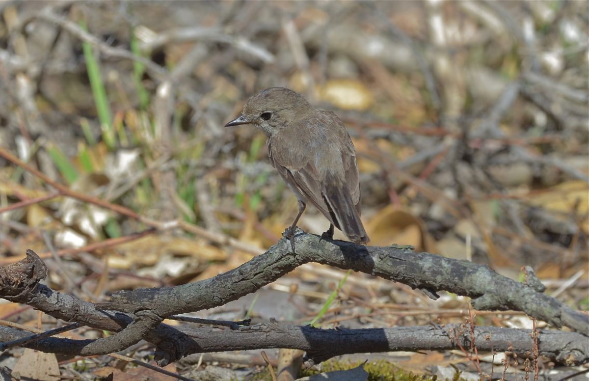 Oh dear, that didn't seem to work.