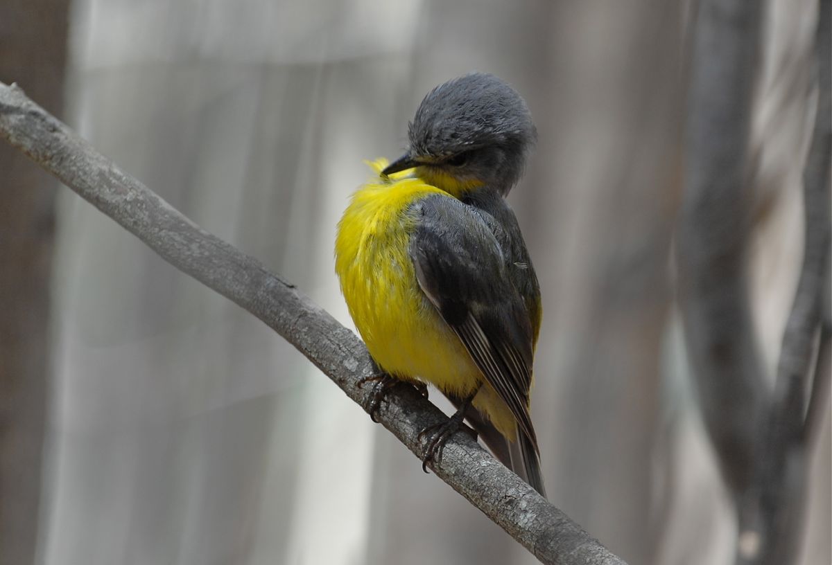 A bit of a preen to look at my best for the photograph