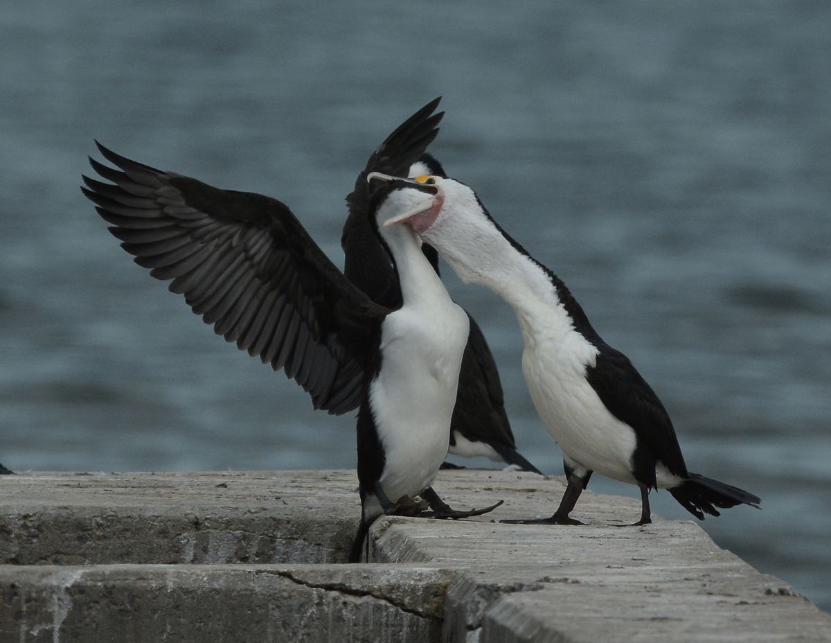 I know there's food in here somewhere. 