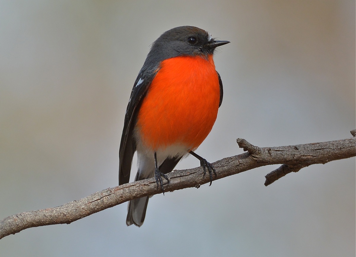 One of the brothers waiting for his mates to catch up.