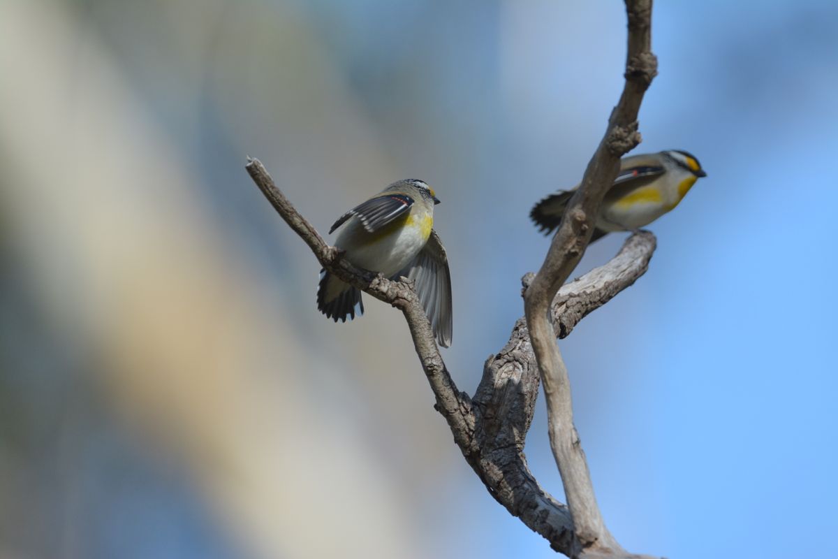 They kept a distance from each other.