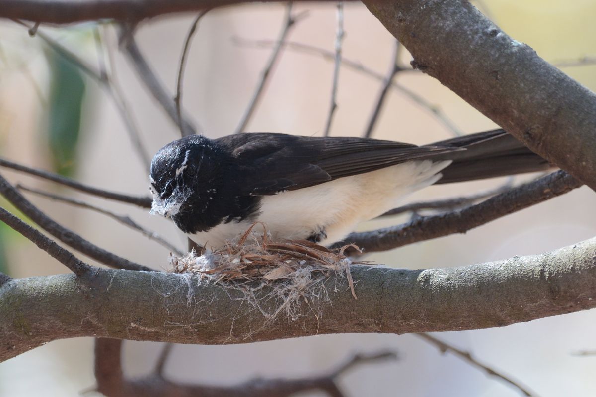 All loaded up with fresh cobweb its time to get a good foundation laid.