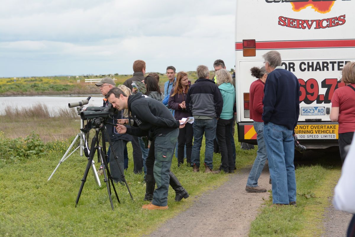 A bus stop for a look at the variety of wader birds in the plant.  Many have just made the trip back from summer in Siberia.