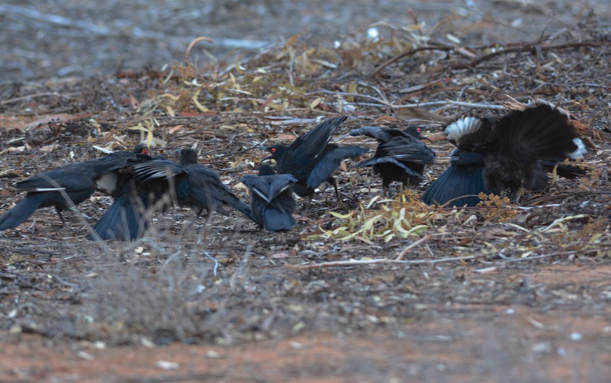Working out the sleeping arrangements for the night.