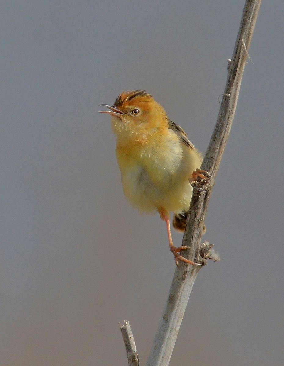 DSC_0250 - Version 2