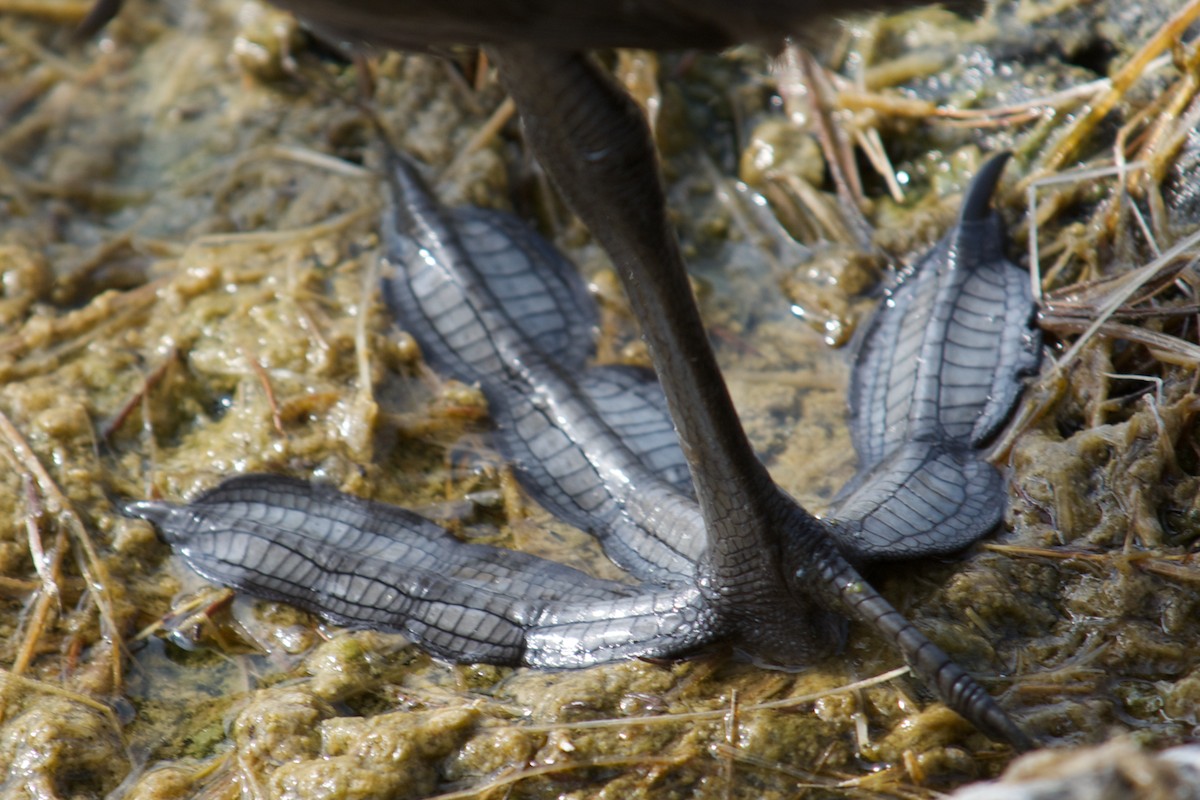 DWJ-1202-15-DSC_2103