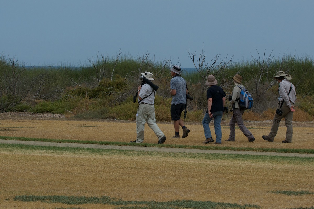 DWJ-1202-15-DSC_2249