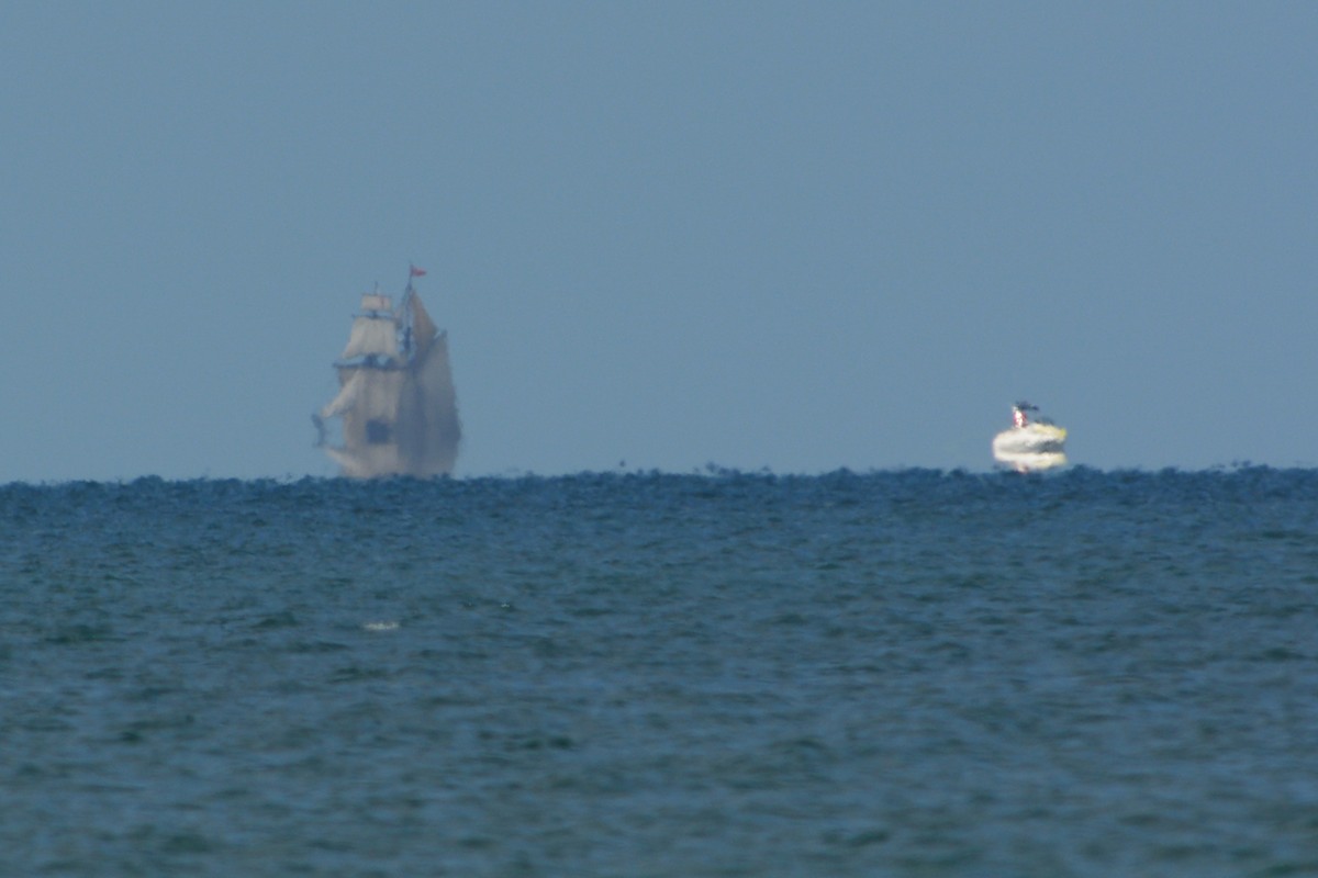 Sails on the horizon, Mr Hornblower.  The heat haze transforms the moment into a impressionistic interpretation.  Think the white blob might be the ferry to Tasmania. 