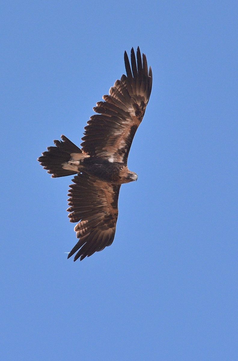 DSC_5113 - Version 2