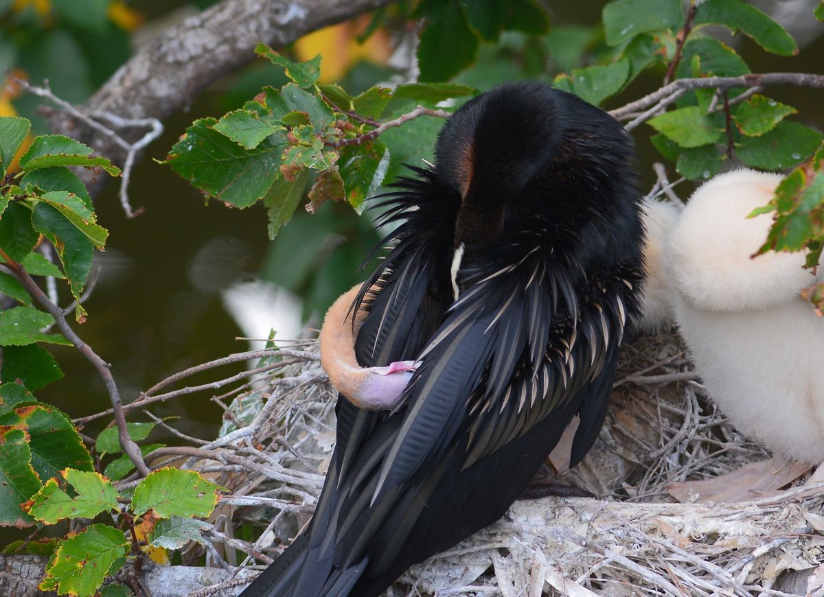 Peek-a-boo.  Found you. 