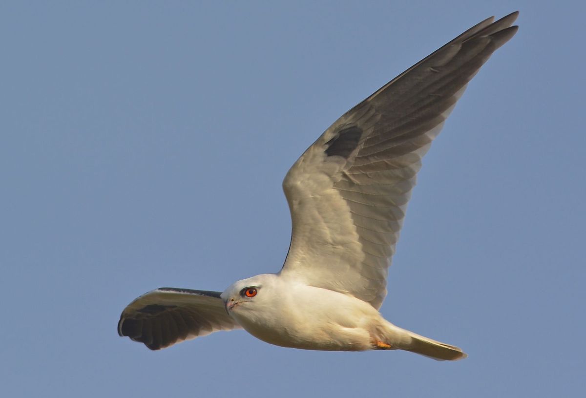 So great to be able to almost reach out and touch him.