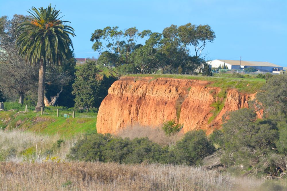 View from the Office window.