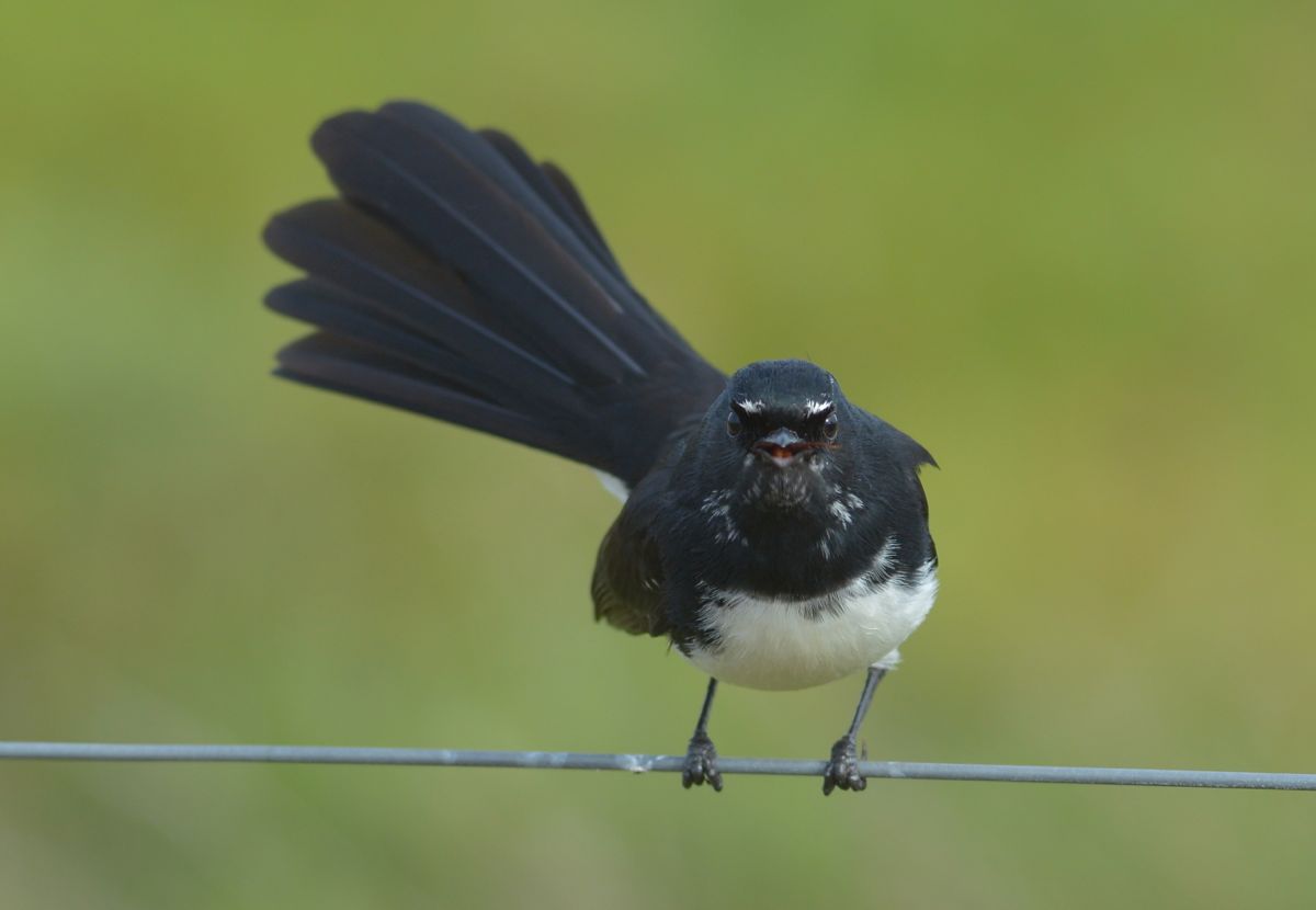 Well, stir up some more.