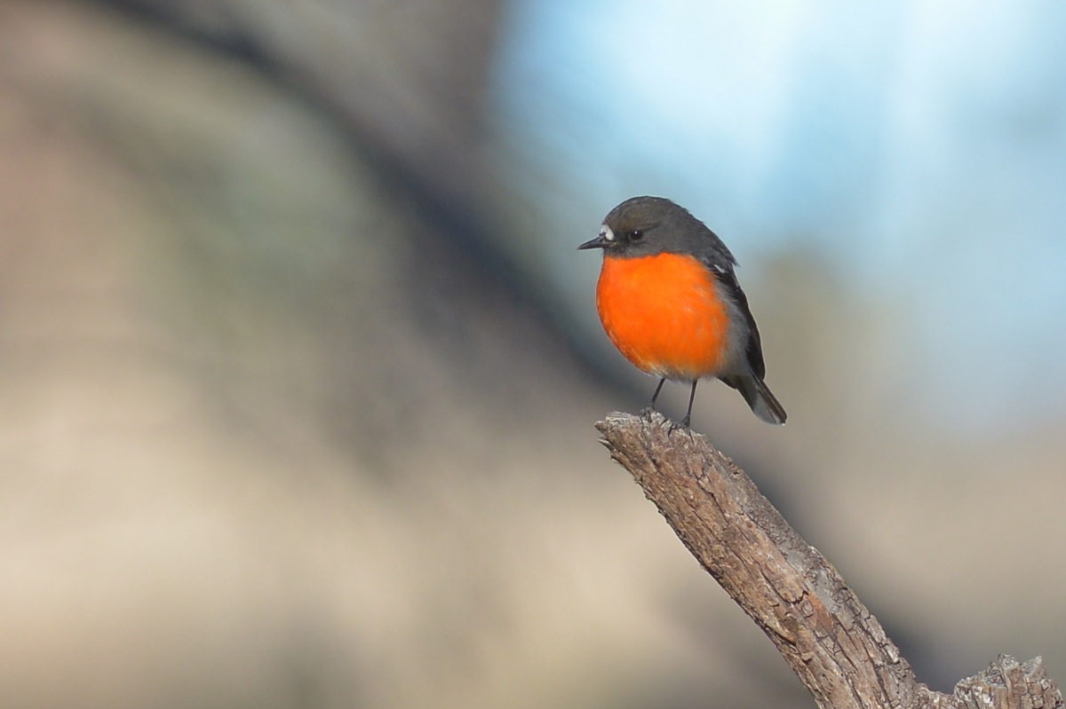 Getting close, but still a long ways to go