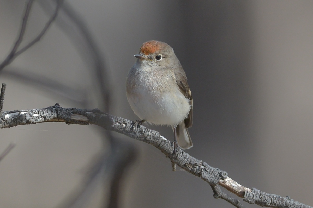 Good enough for another pose 