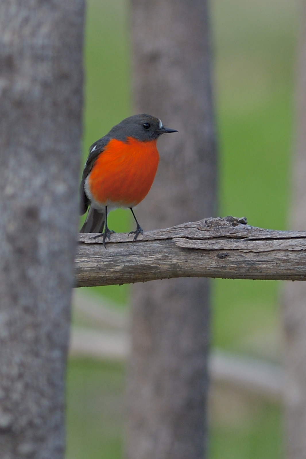 Always hard to gain their confidence. 