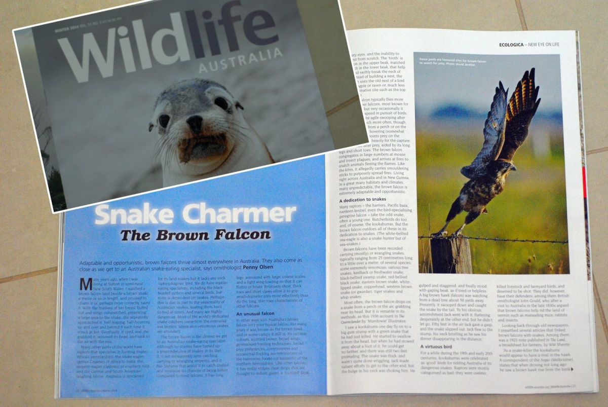 wildlifemag