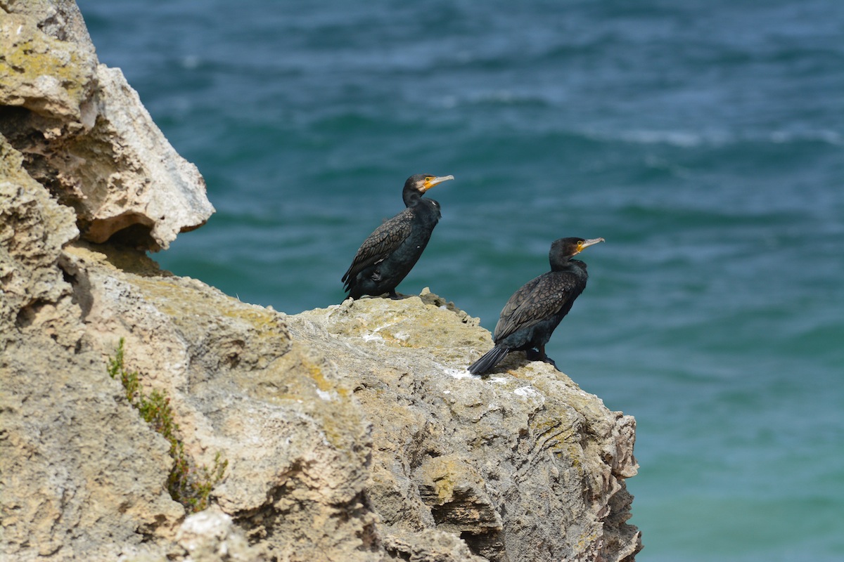 Just me and me mate. 