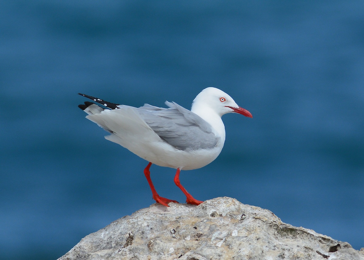 Study in colour combos 