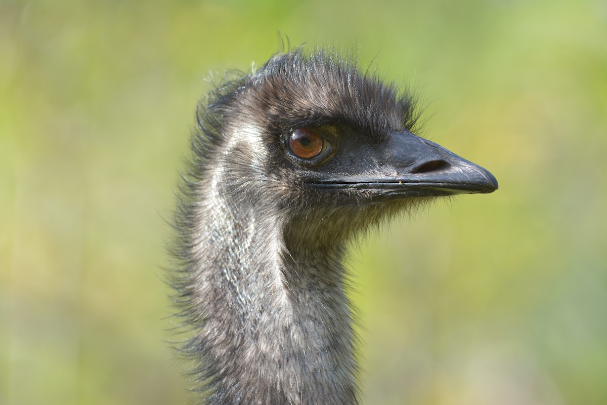 Up close and personal