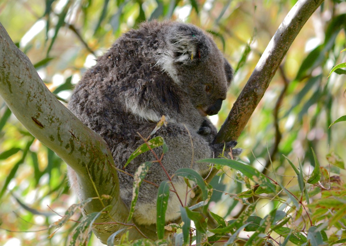 What is all the noise? 