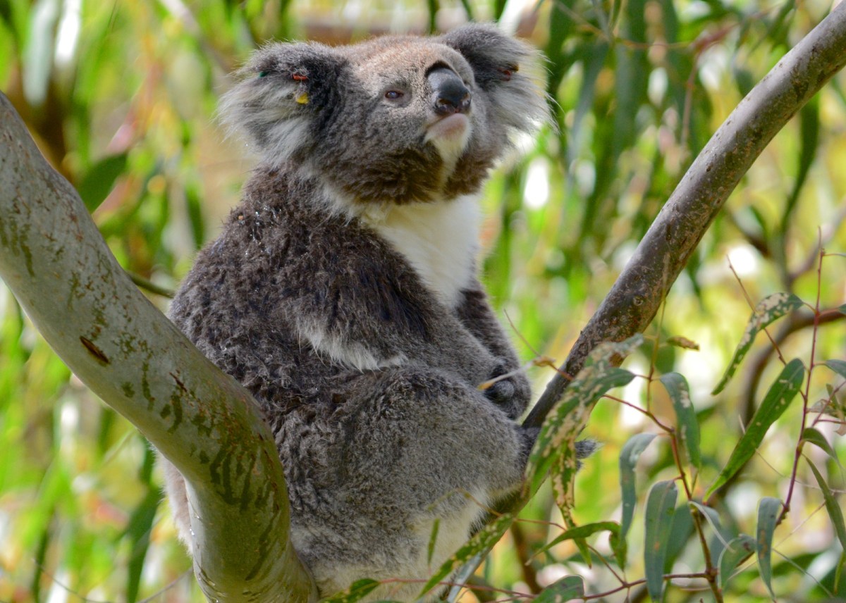 They smell funny, and its about to rain methinks 