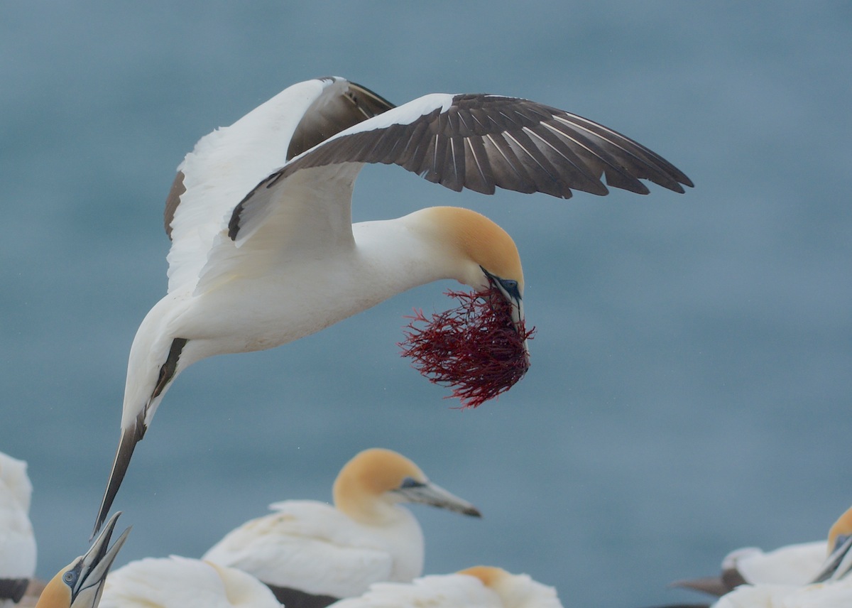 Just back from Masters, with some house redecoration. (Masters is a local hardware supplier) 