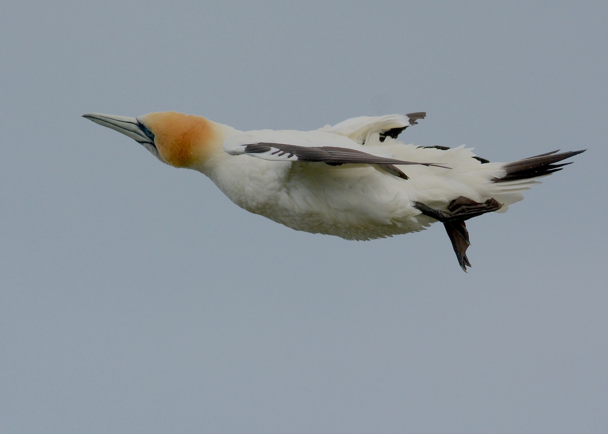 Sometimes it takes two shakes 