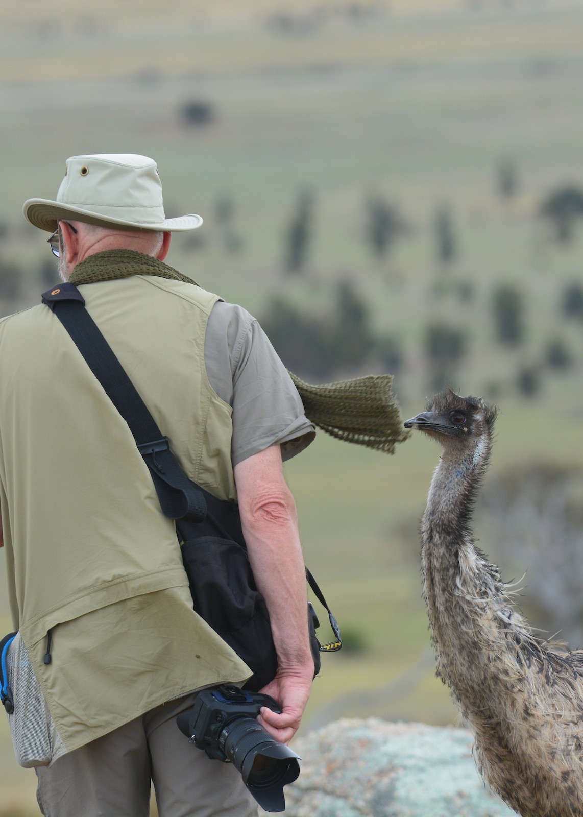 That's a nice scarf do you think it would suit me? 
