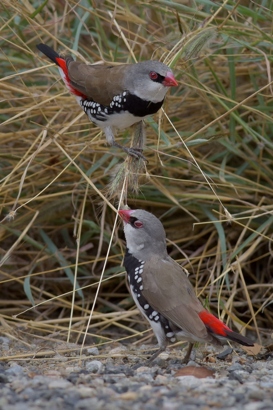 That's what friends are for.  