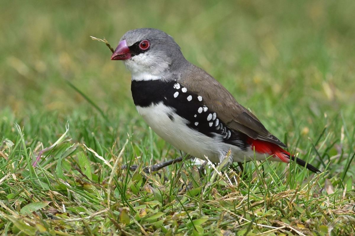 DWJ-1404-01-DSC_2222