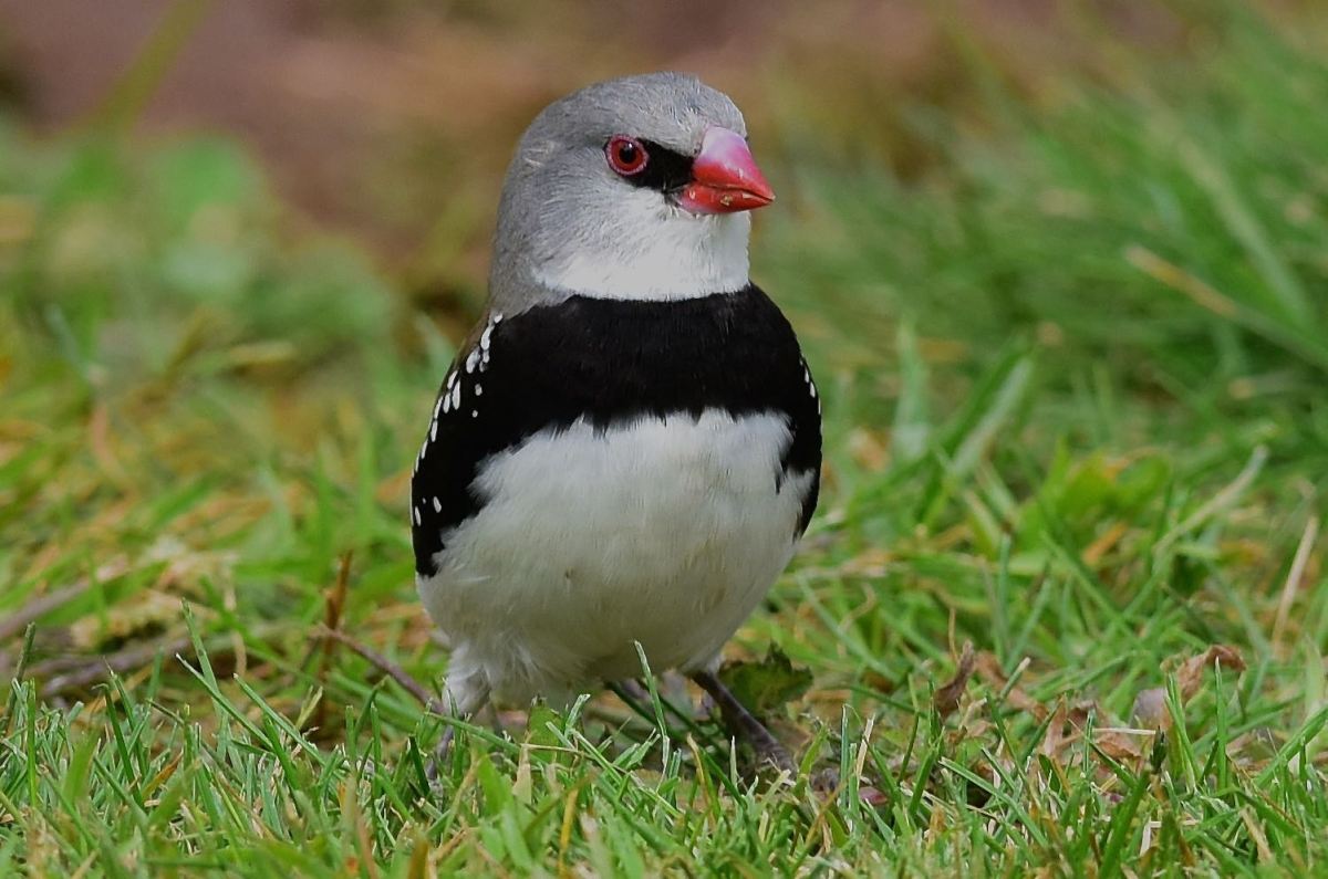 DWJ-1404-01-DSC_2362