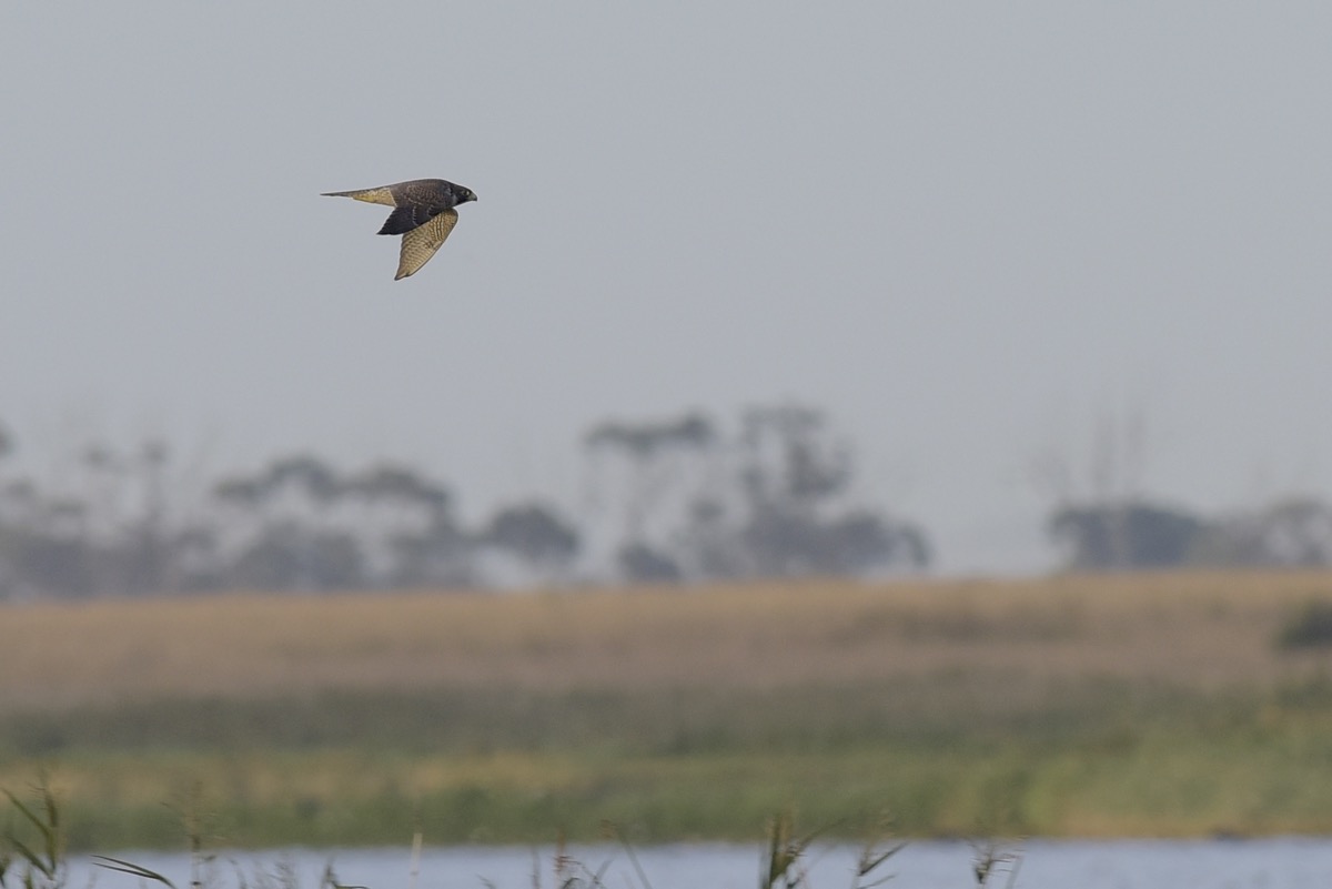 Inbound. The jet fighter approach.