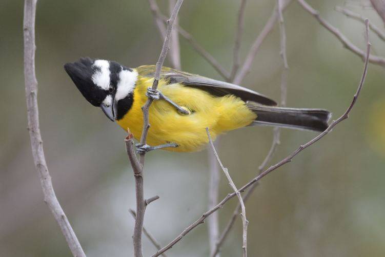 There must be something down there somewhere. (and there was)