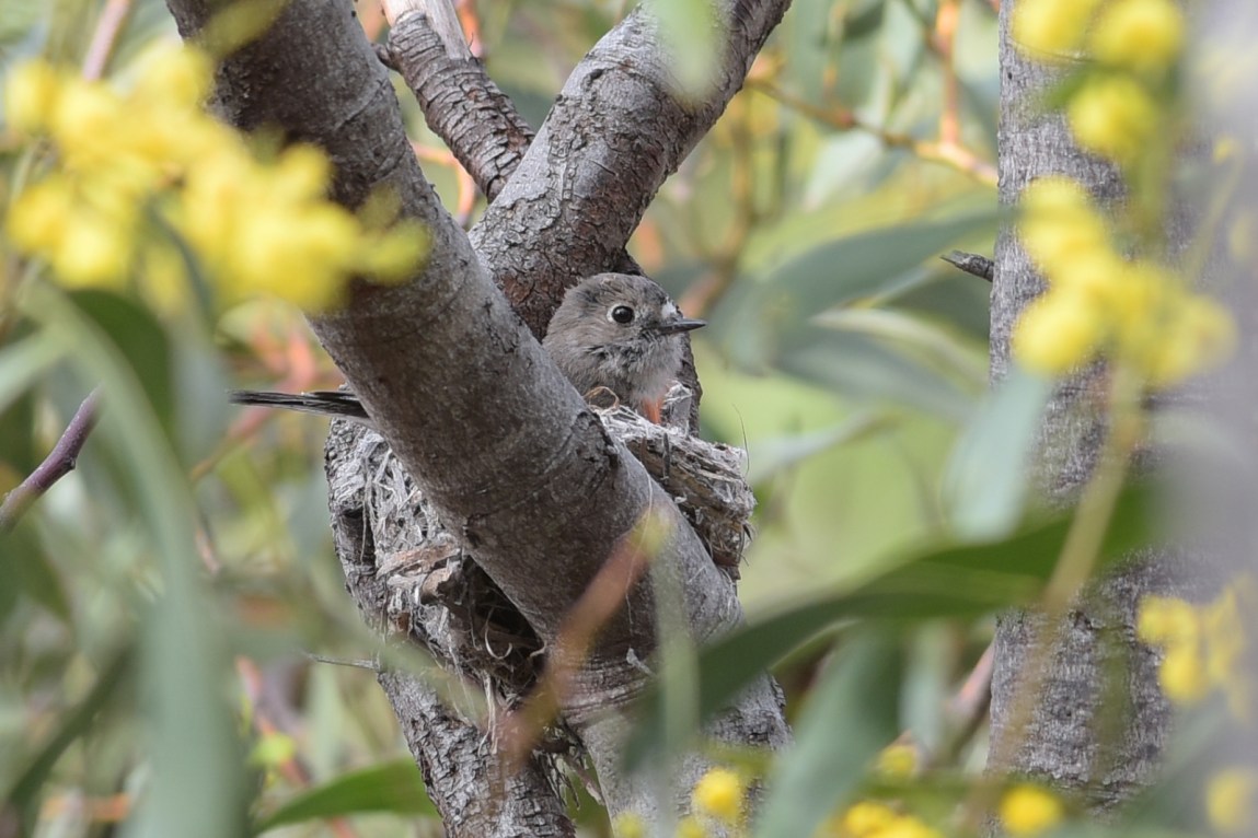 All in a day's work.