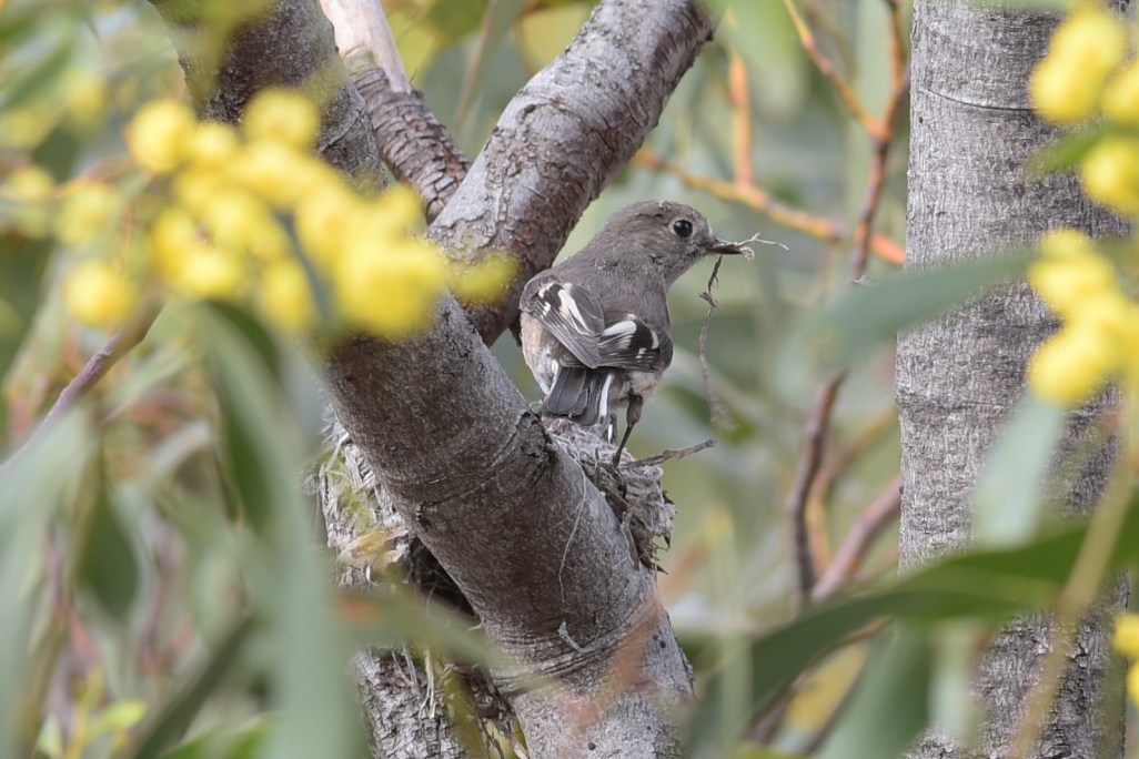 The importance of each piece is pondered before she lays it in place 