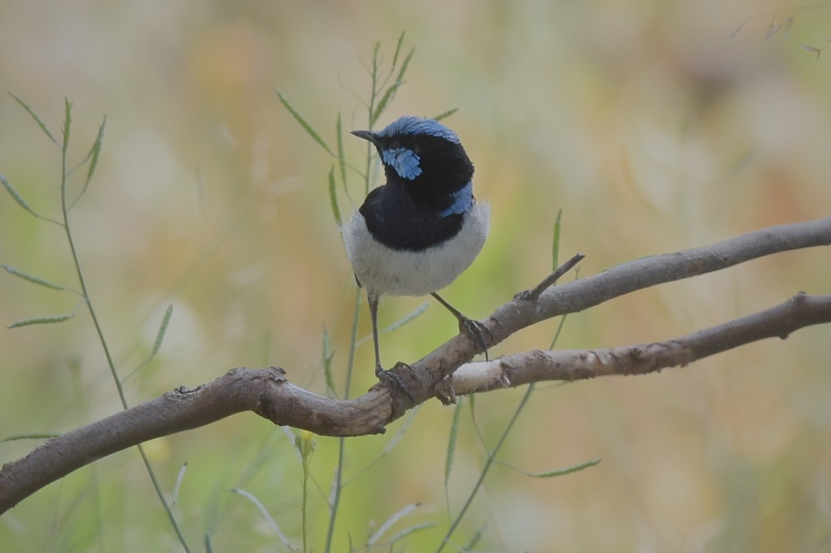 What is wrong with this photo? 