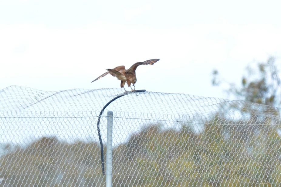 Now to settle down for a well deserved meal