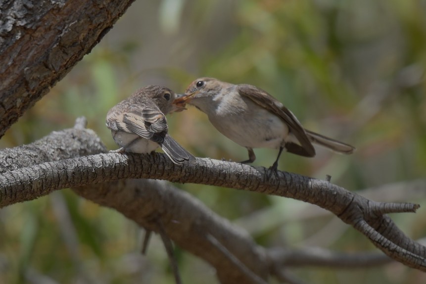 There you go. Lovely