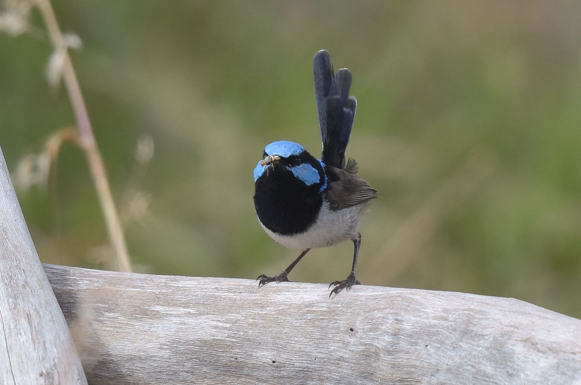 He spent a lot of the morning delivering food.