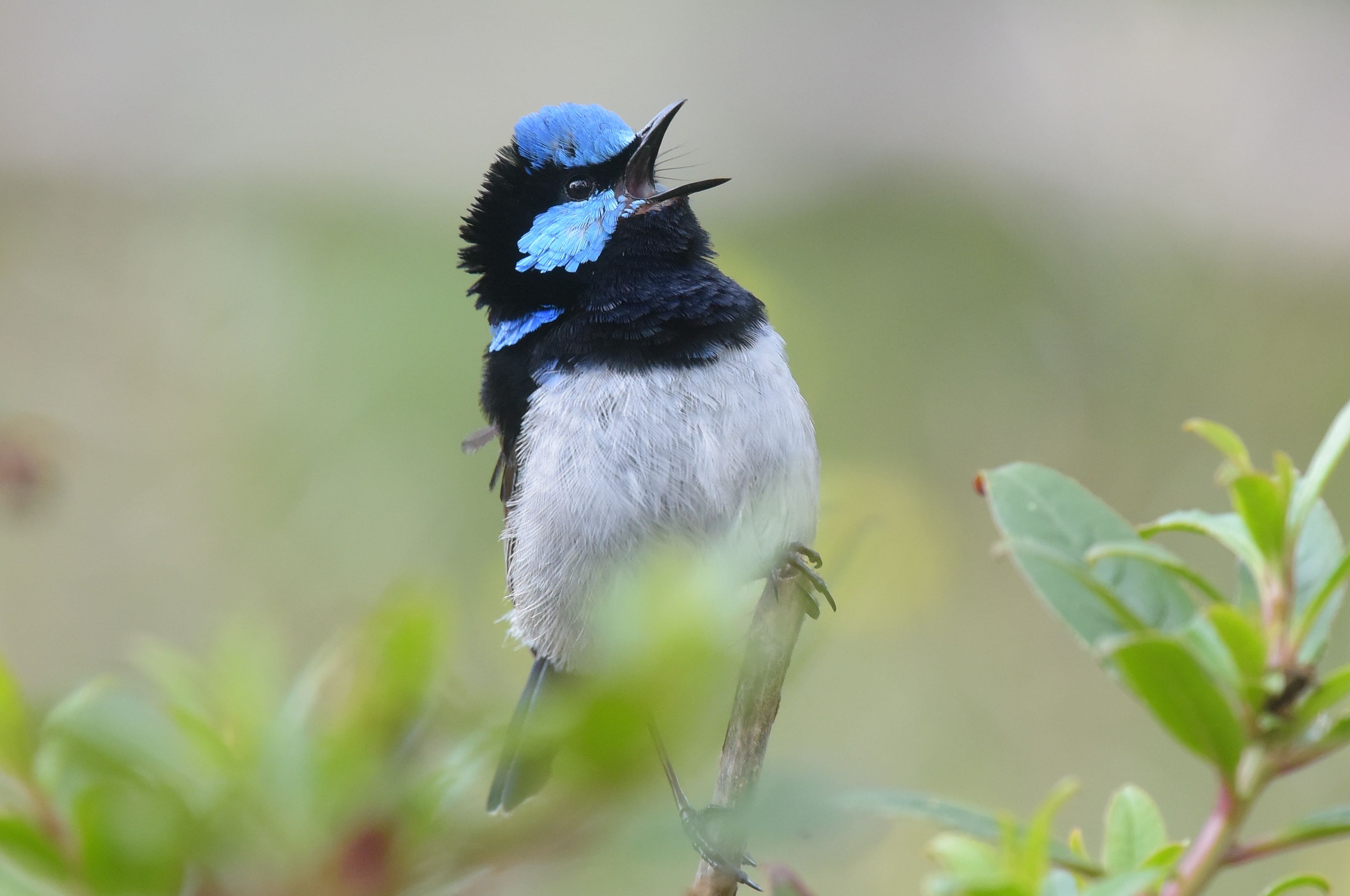 Hey, can you hear me over there. 