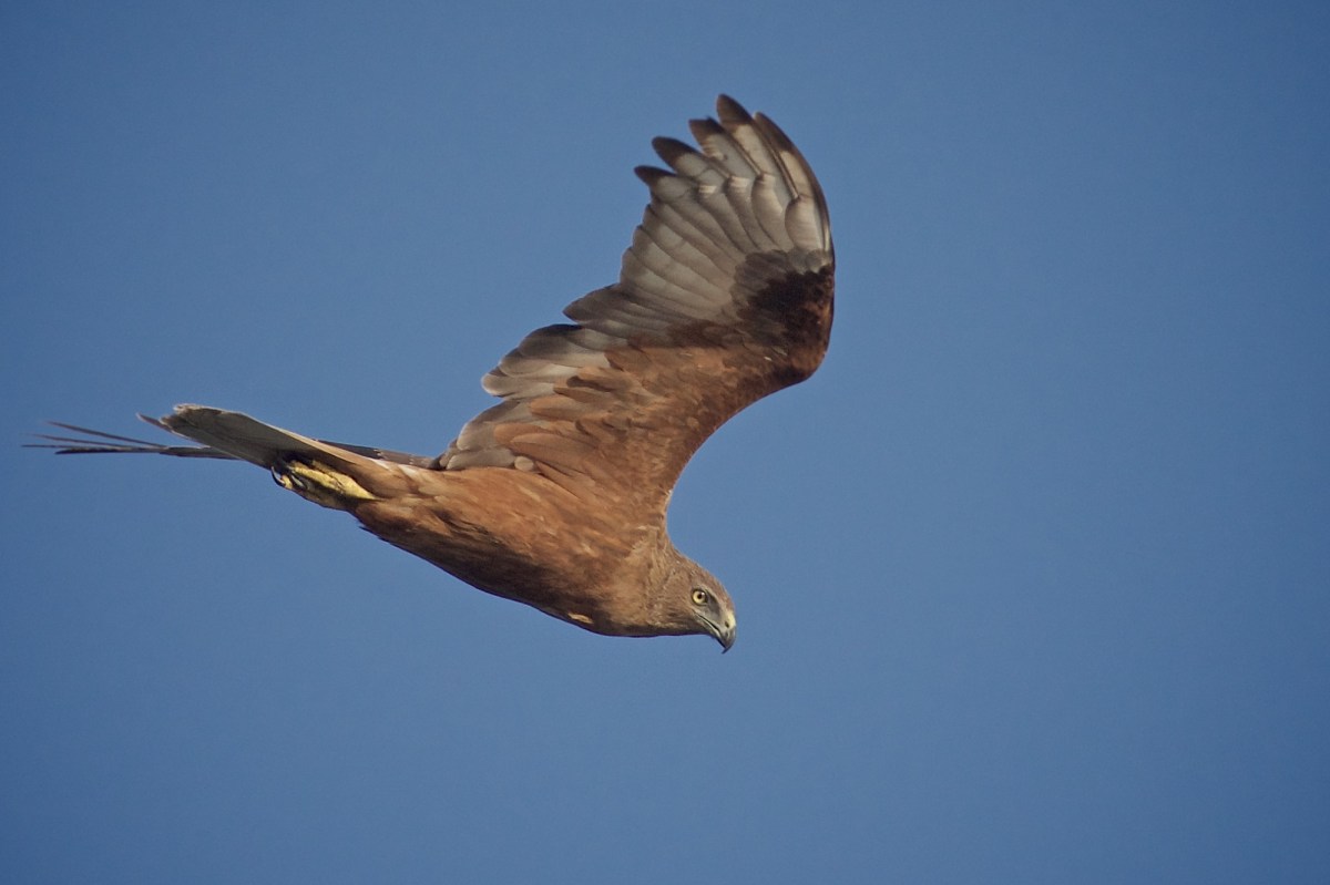 Gliding in to take up station for its next run.