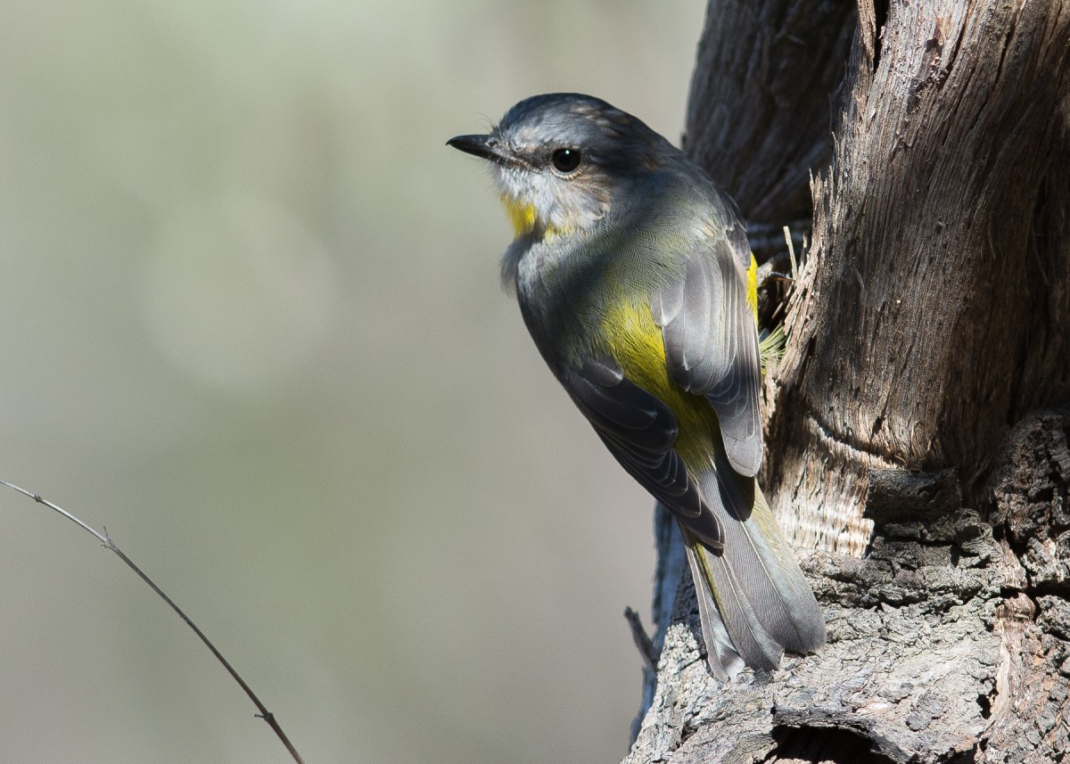 It's not hard to see how well they fit in with the surrounds 