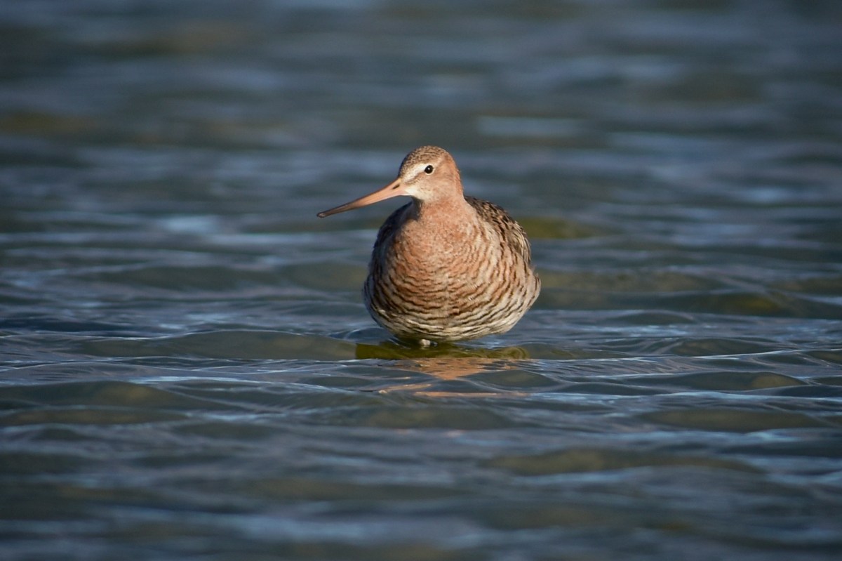 Wonderful display colours