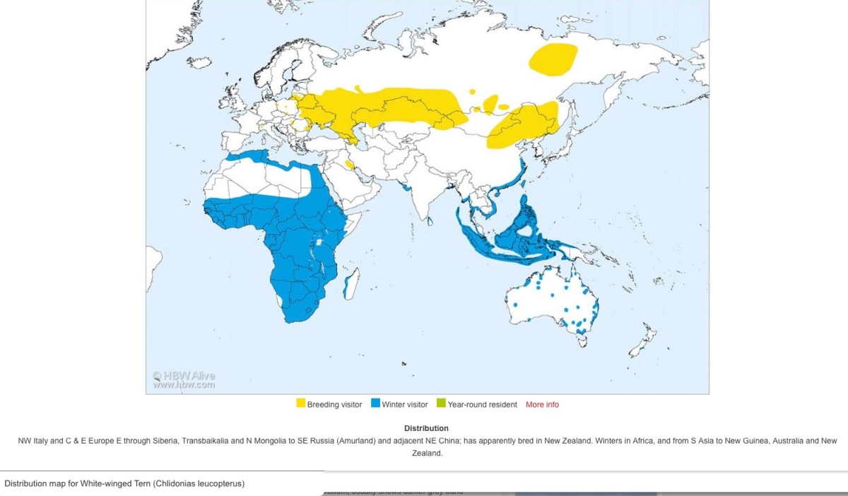 Screen Shot 2016-05-21 at 10.07.03 PM