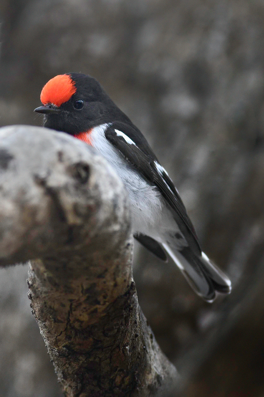 1607-14_DWJ_4398_NX2