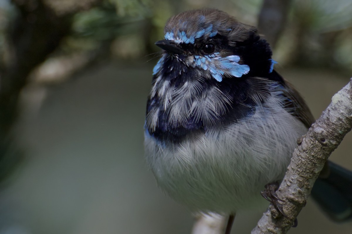 Number 2This has had Pre Sharpener Define 2