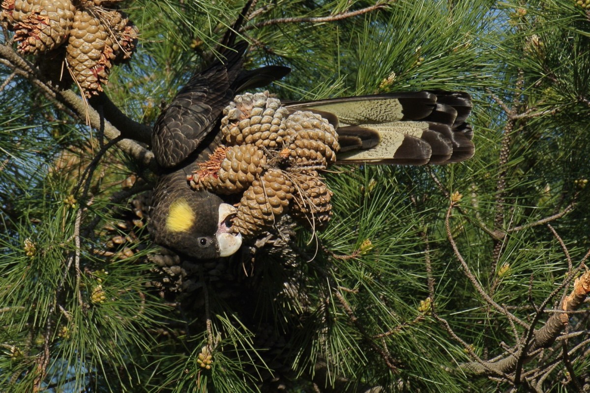 Getting to the best bits requires that little bit of extra effort