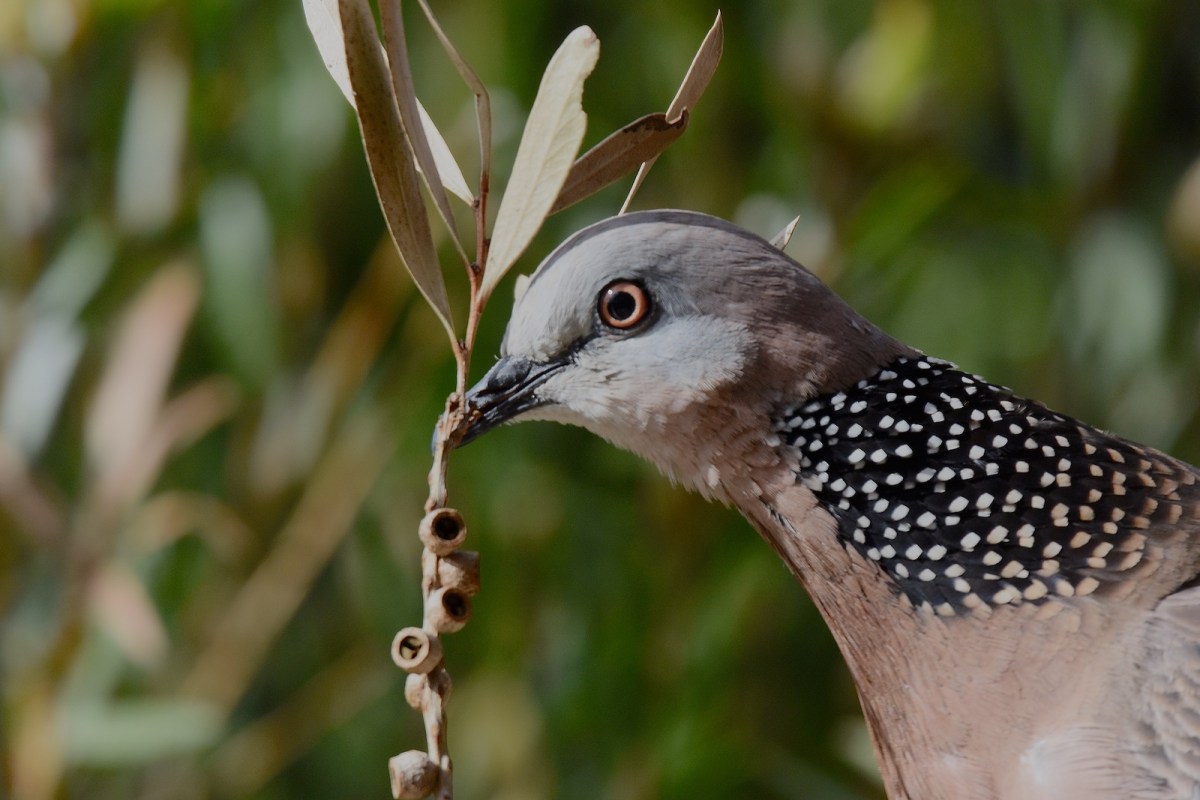 Yes, that will do nicely.  A fine feeling of 'chi' here. 